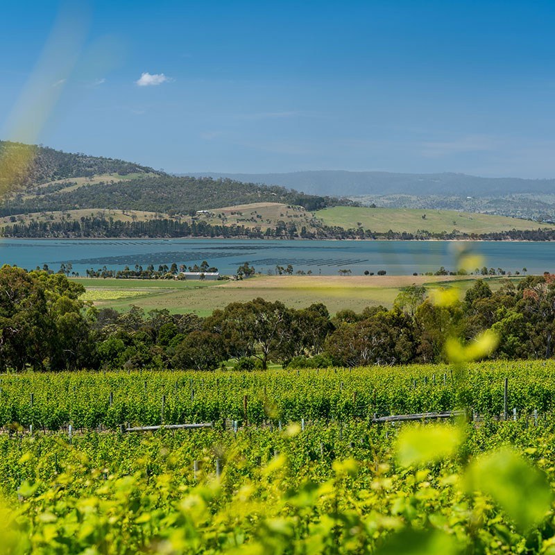 East Coast Wine Region Tasmania