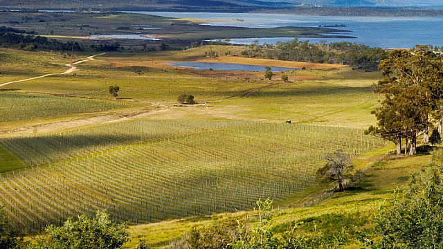 Devils Corner credit Wine Tasmania Ilona Schneider