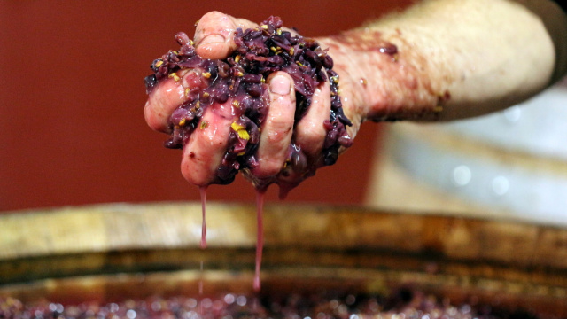 Derwent Estate credit Martin Turmine 2