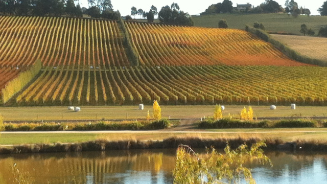 Josef Chromy S Davies