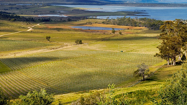 Devils Corner credit Wine Tasmania Ilona Schneider