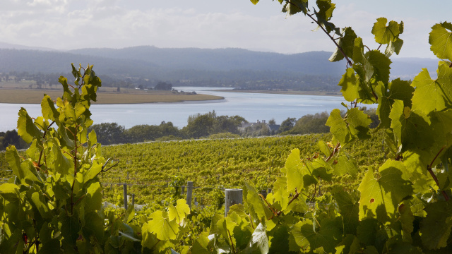 Tamar River credit Wine Tasmania Ilona Schneider