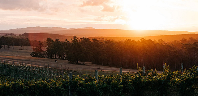 Delamere Adam Gibson