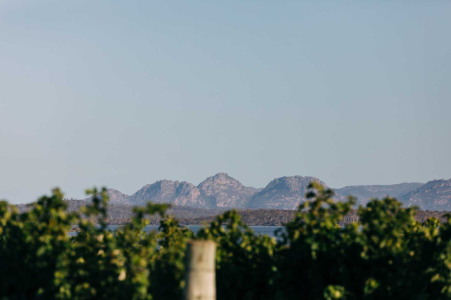 Devils Corner Vineyard