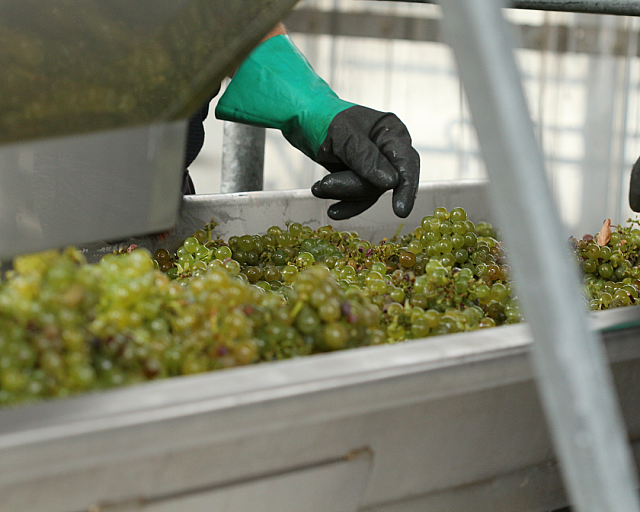 2018 vintage Lubiana 217