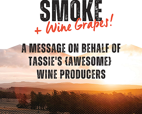 Smoke Taint 2026 small