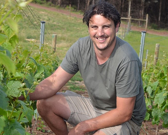 Vaughn Dell Sinapius Gamay