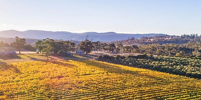 Boomer Creek Cropped1