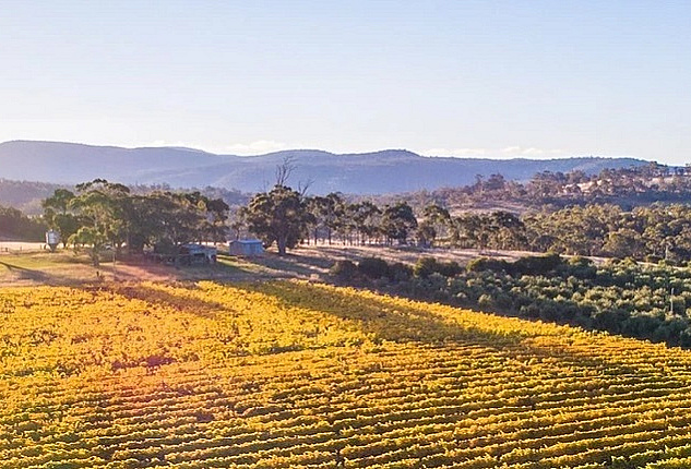 Boomer Creek Cropped1