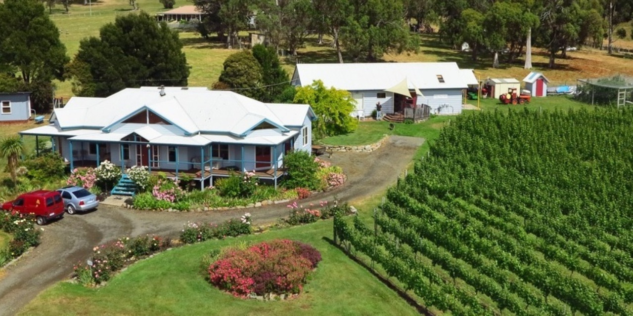 Darlington Vineyard Wine Tasmania