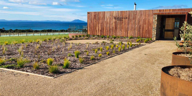 Mayfield Cellar Door