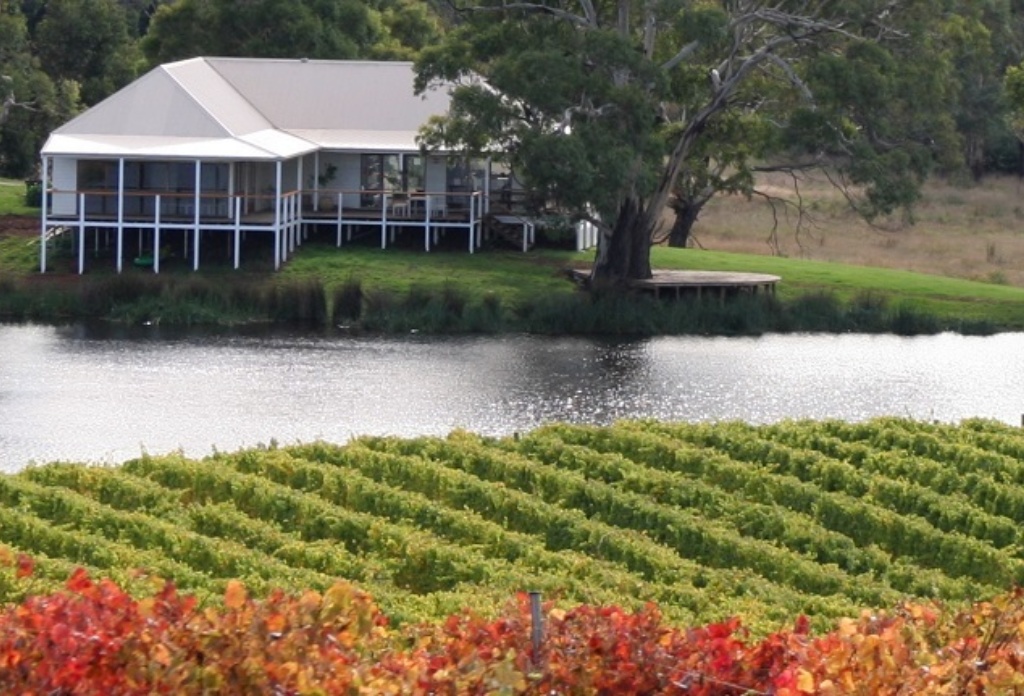 milton wine tour