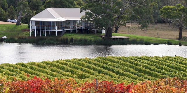 milton wine tour