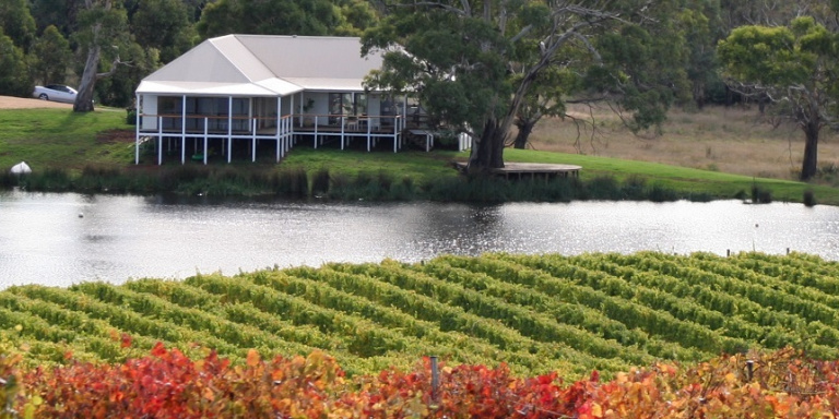 milton wine tour