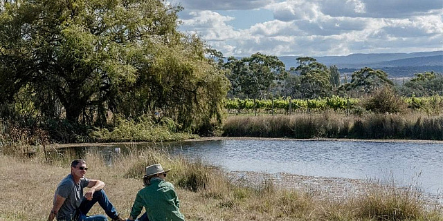 Sustainable vineyard tasmania rooster and robin