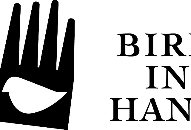 Birdin Hand Logo