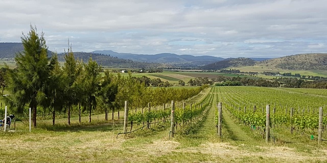 Tolpuddle Vineyard | Wine Tasmania | Wine Tasmania