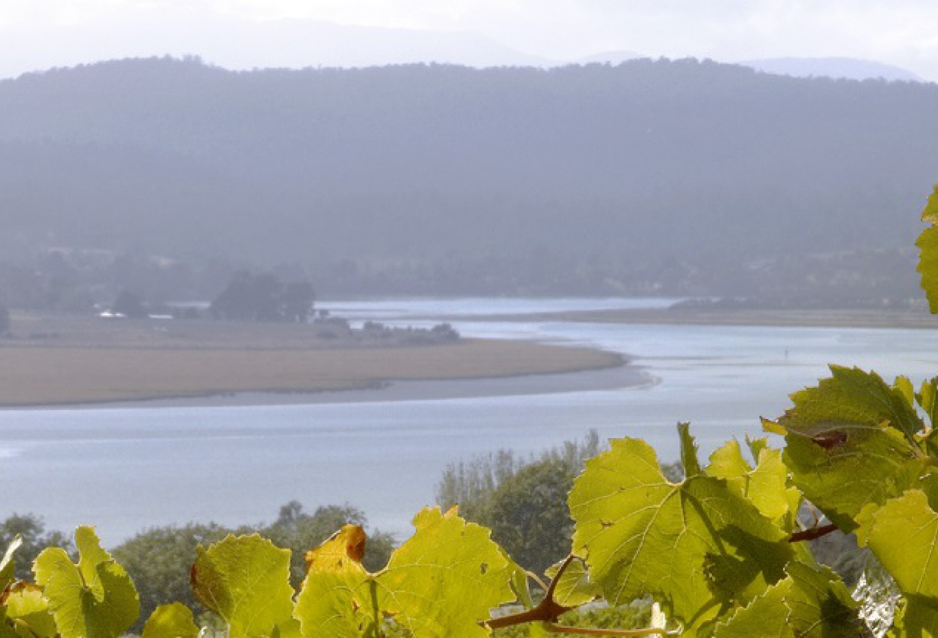 Tamar Valley Wine Trail | Wine Tasmania