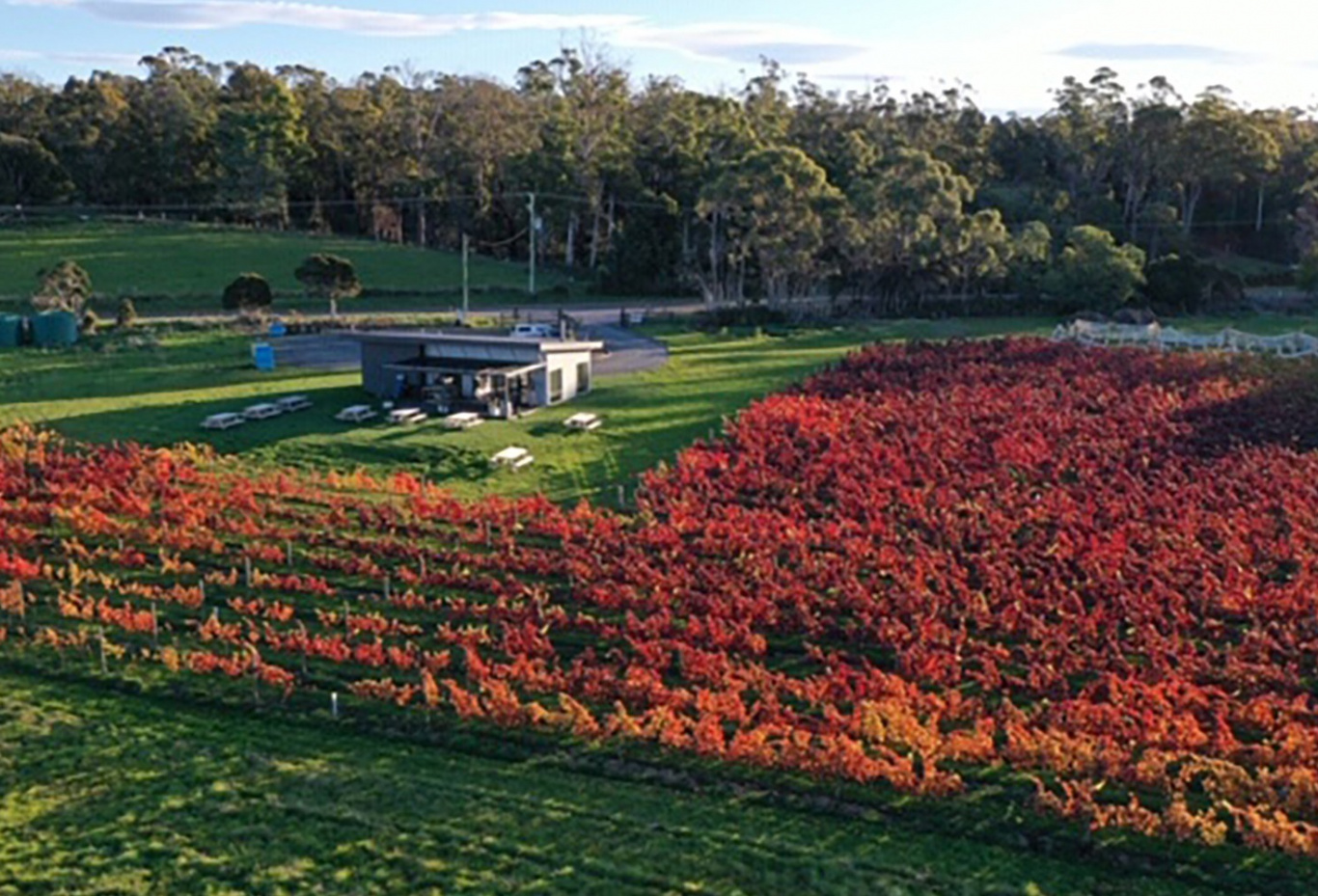Tamar Valley Wine Trail Wine Tasmania
