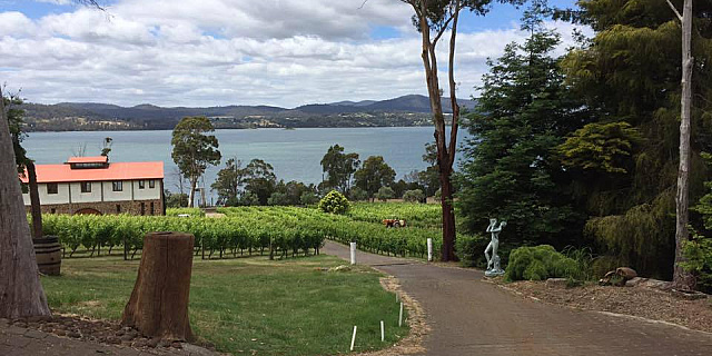 12235047 912189858857414 2083061924973972234 n1