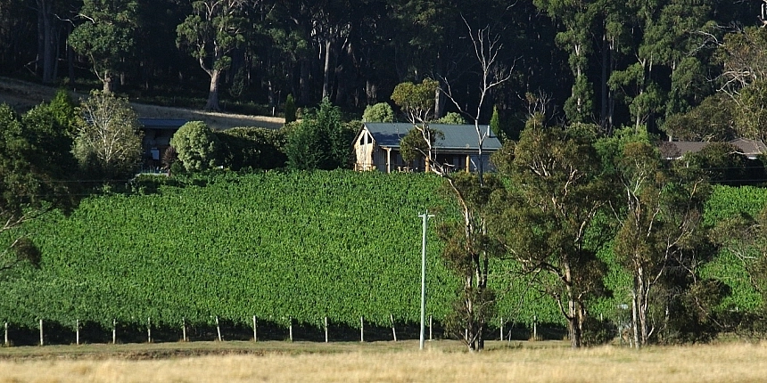 Moores Hill Estate