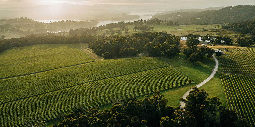Small Wonder Vineyard Wine Tasmania Wine Tasmania