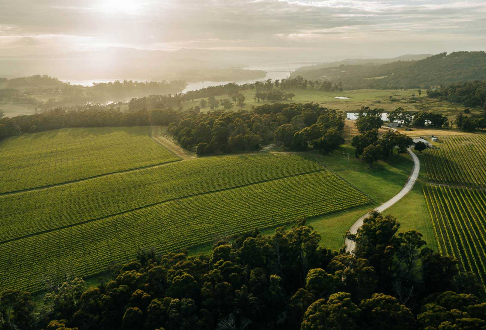 Tamar Valley Wine Trail Wine Tasmania Wine Tasmania