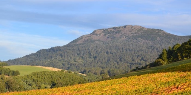 2584aee0390c89bed1b8e7a3be246d461